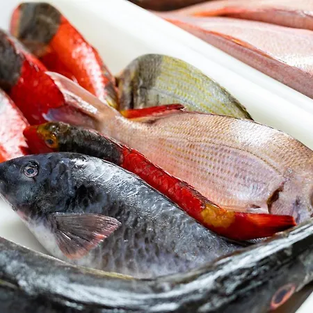 Window To The Sea, South Tenerife *