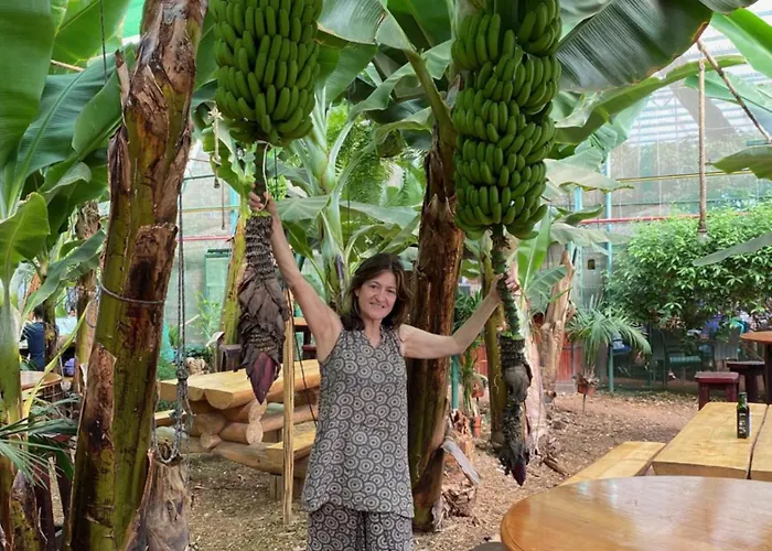 Window To The Sea, South Tenerife * La Mareta