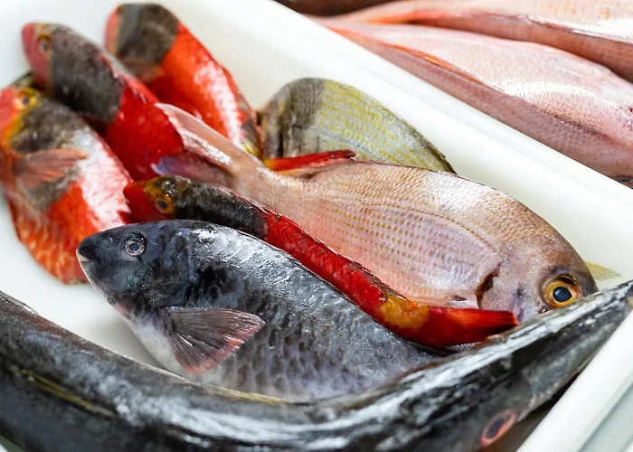 Window To The Sea, South Tenerife *